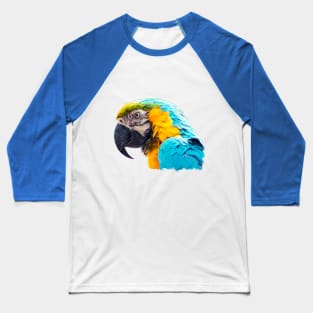 Macaw portrait Baseball T-Shirt